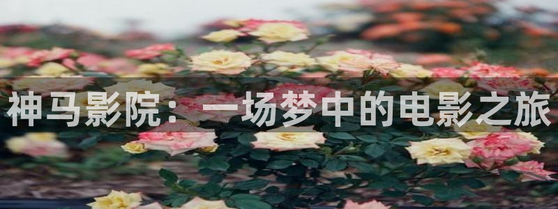 遮天在线观看免费观看星空影视全集