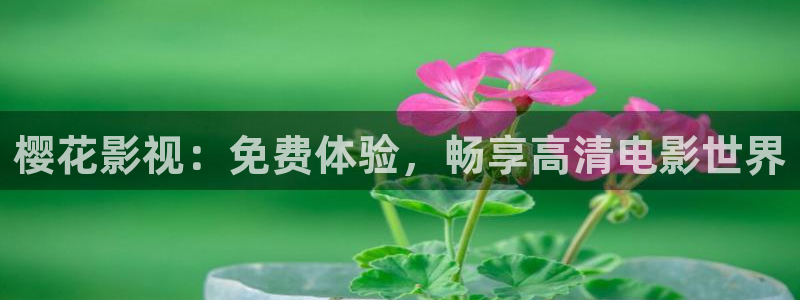 星辰影院策驰影院樱花视频