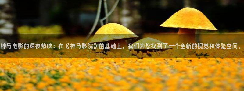 星空影视免费观看大全