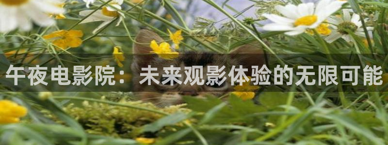 星空电影网站在线观看完整