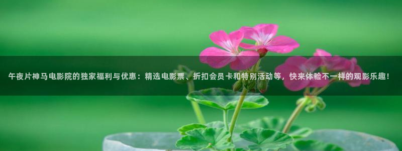 星空影视影院大全