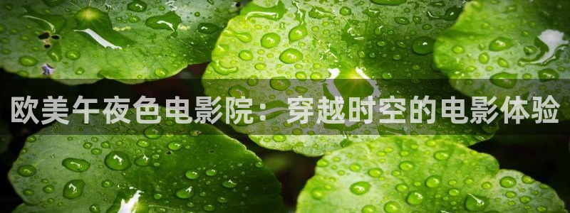 樱花视频在线观看免费版电视剧全集