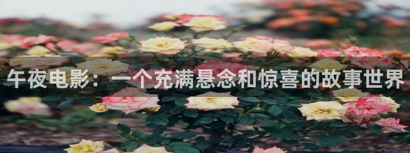 星空影视下载最新版