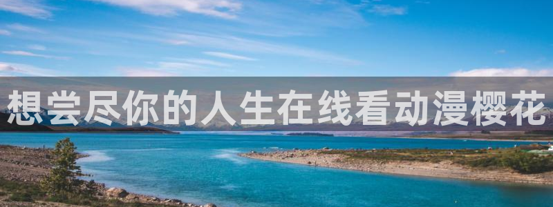星空传媒电影