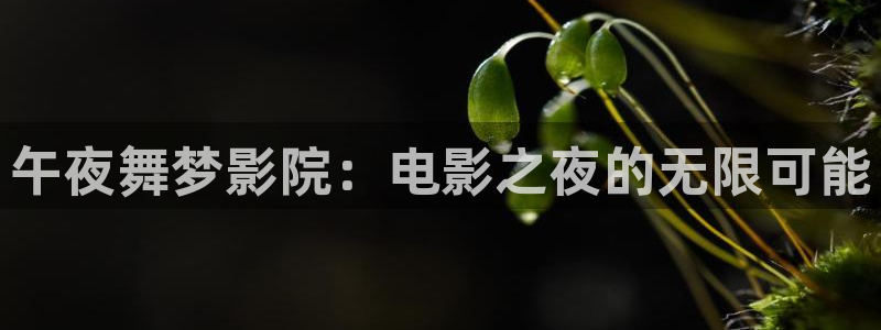 沉香如屑樱花视频免费观看完整版