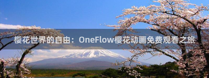 在线免费观看星空影视
