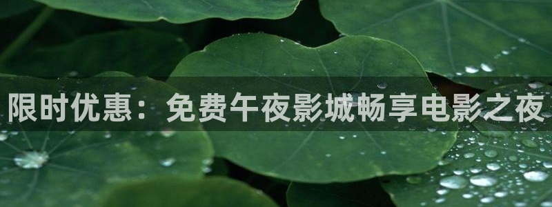 樱花视频视频在线观看免费播放