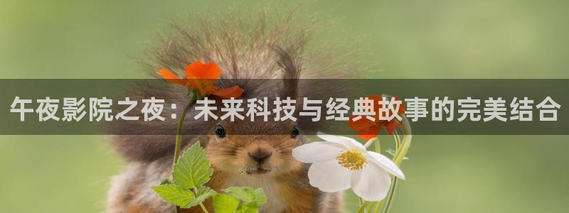 郑州樱花视频影讯