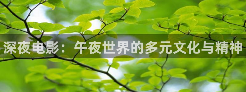 星空无限电影