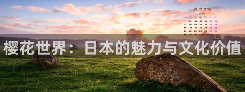 星空视频影视大全观看