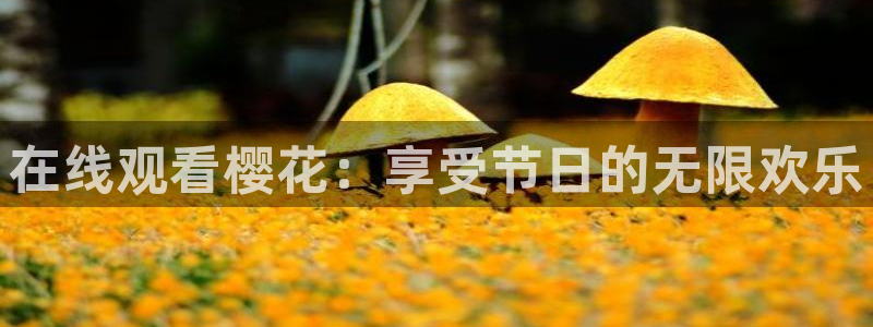 星空影视电视剧观看
