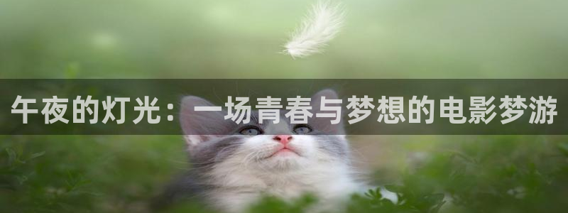 樱花视频手机免费观看