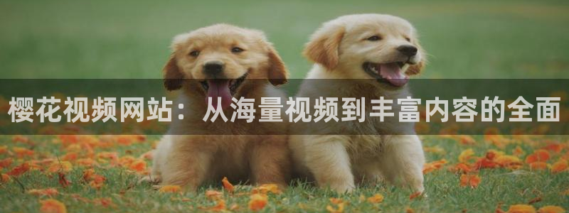 星空影视下载