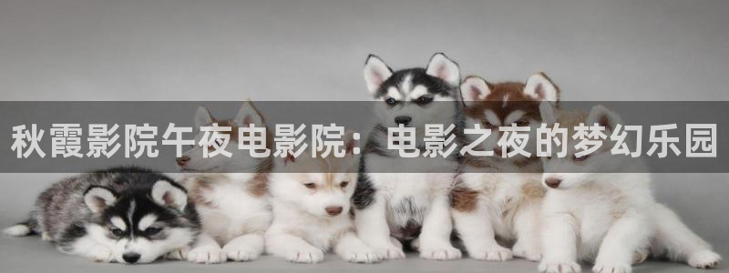 樱花视频大全在线观看完整