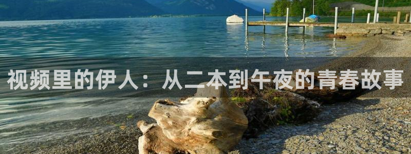 星空乌鸦天美大象糖心