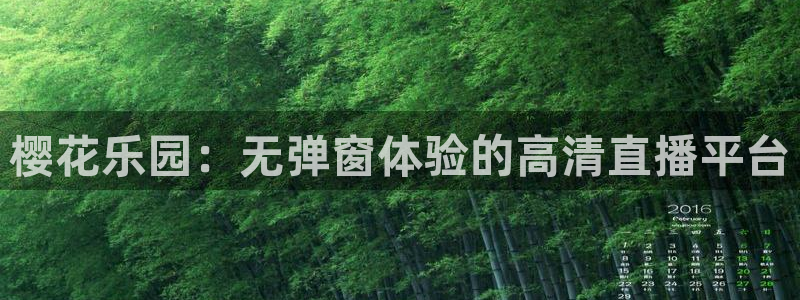 星空传媒播放