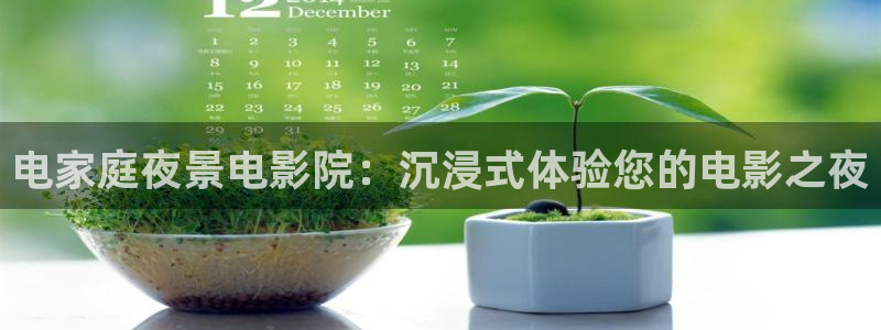 星空影城今日影讯