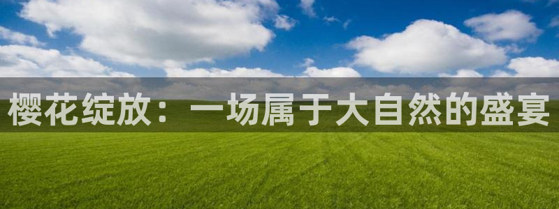 星空电影网站在线观看完整